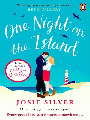 One Night on the Island - ebook